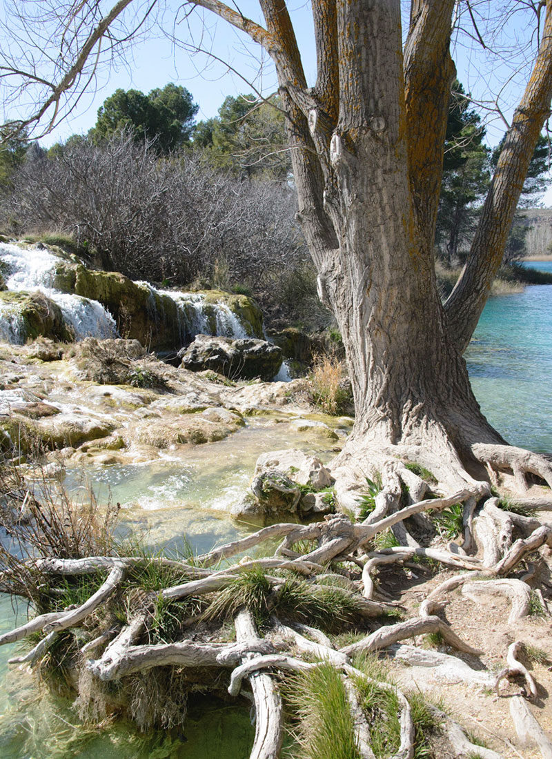 REGEN-agroturismo-06